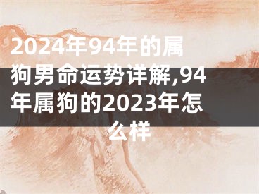 2024年94年的属狗男命运势详解,94年属狗的2023年怎么样