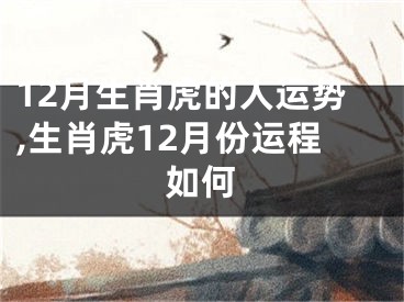 12月生肖虎的人运势,生肖虎12月份运程如何