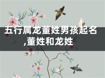 五行属龙董姓男孩起名,董姓和龙姓