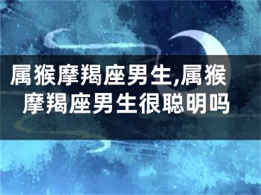 属猴摩羯座男生,属猴摩羯座男生很聪明吗