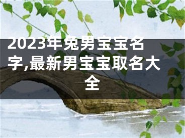 2023年兔男宝宝名字,最新男宝宝取名大全