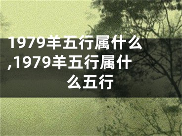 1979羊五行属什么,1979羊五行属什么五行