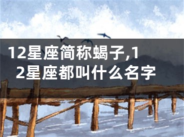 12星座简称蝎子,12星座都叫什么名字