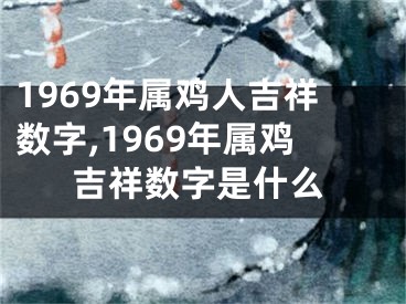 1969年属鸡人吉祥数字,1969年属鸡吉祥数字是什么