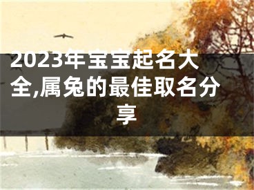 2023年宝宝起名大全,属兔的最佳取名分享