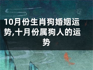 10月份生肖狗婚姻运势,十月份属狗人的运势