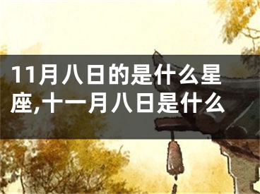 11月八日的是什么星座,十一月八日是什么