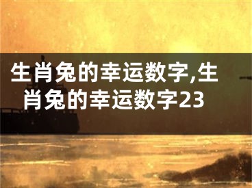 生肖兔的幸运数字,生肖兔的幸运数字23