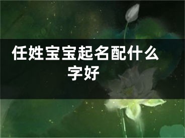  任姓宝宝起名配什么字好 