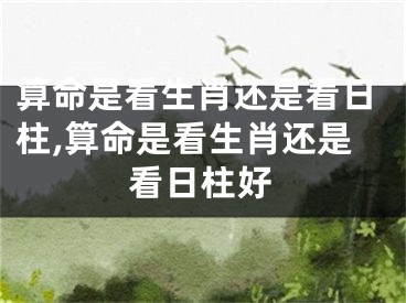 算命是看生肖还是看日柱,算命是看生肖还是看日柱好