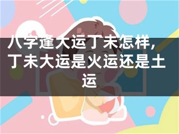 八字逢大运丁未怎样,丁未大运是火运还是土运