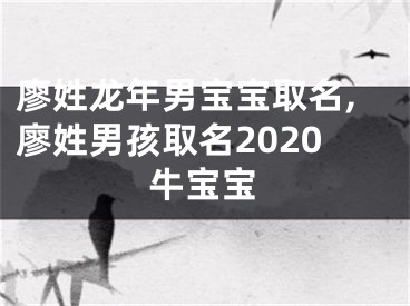 廖姓龙年男宝宝取名,廖姓男孩取名2020牛宝宝