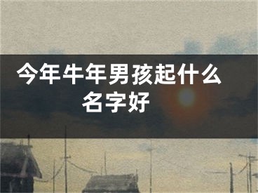  今年牛年男孩起什么名字好 