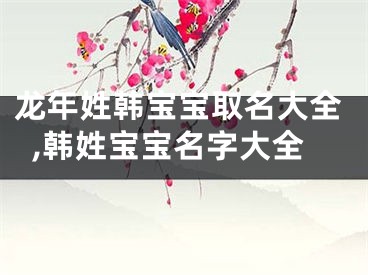 龙年姓韩宝宝取名大全,韩姓宝宝名字大全