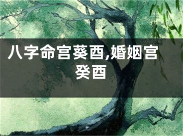 八字命宫葵酉,婚姻宫癸酉