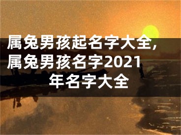 属兔男孩起名字大全,属兔男孩名字2021年名字大全