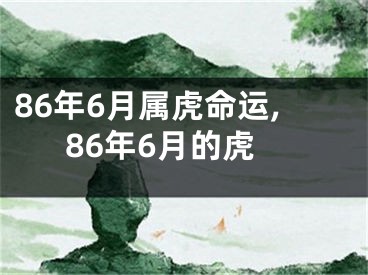 86年6月属虎命运,86年6月的虎