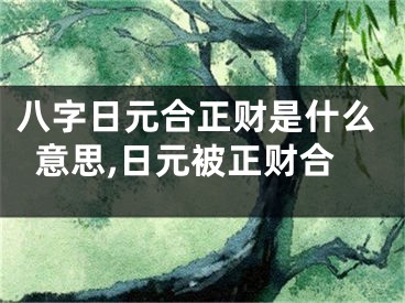 八字日元合正财是什么意思,日元被正财合