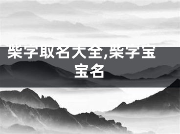 柴字取名大全,柴字宝宝名