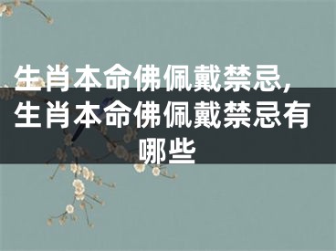 生肖本命佛佩戴禁忌,生肖本命佛佩戴禁忌有哪些