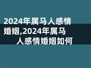 2024年属马人感情婚姻,2024年属马人感情婚姻如何