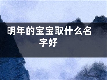  明年的宝宝取什么名字好 