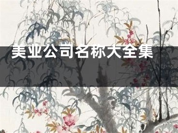  美业公司名称大全集 