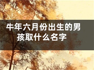  牛年六月份出生的男孩取什么名字 