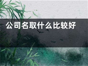  公司名取什么比较好 