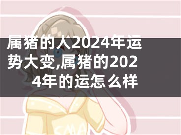 属猪的人2024年运势大变,属猪的2024年的运怎么样