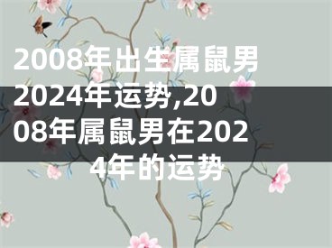 2008年出生属鼠男2024年运势,2008年属鼠男在2024年的运势