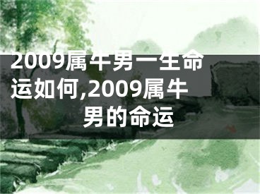 2009属牛男一生命运如何,2009属牛男的命运