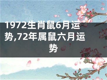 1972生肖鼠6月运势,72年属鼠六月运势