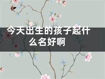  今天出生的孩子起什么名好啊 