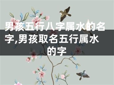 男孩五行八字属水的名字,男孩取名五行属水的字