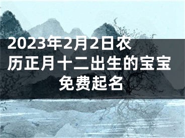 2023年2月2日农历正月十二出生的宝宝免费起名