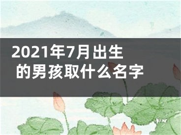  2021年7月出生的男孩取什么名字 