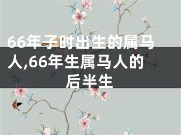 66年子时出生的属马人,66年生属马人的后半生