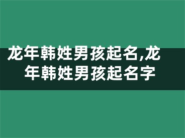 龙年韩姓男孩起名,龙年韩姓男孩起名字