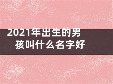  2021年出生的男孩叫什么名字好 