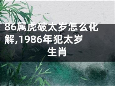 86属虎破太岁怎么化解,1986年犯太岁生肖