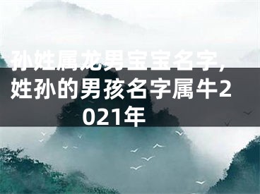 孙姓属龙男宝宝名字,姓孙的男孩名字属牛2021年