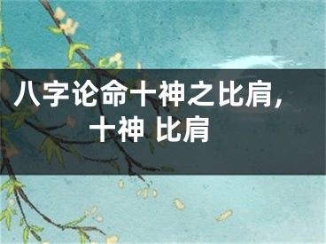 八字论命十神之比肩,十神 比肩