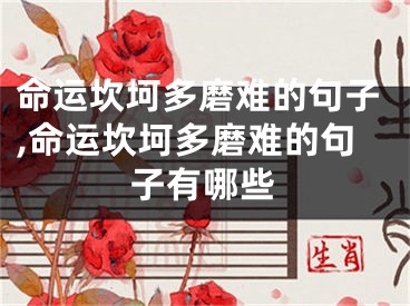 命运坎坷多磨难的句子,命运坎坷多磨难的句子有哪些