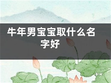  牛年男宝宝取什么名字好 