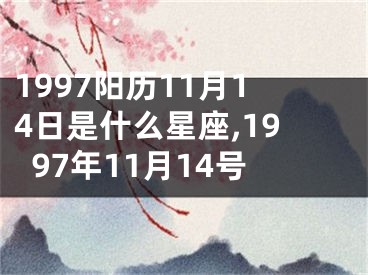 1997阳历11月14日是什么星座,1997年11月14号