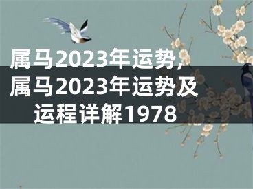 属马2023年运势,属马2023年运势及运程详解1978