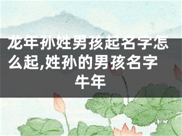 龙年孙姓男孩起名字怎么起,姓孙的男孩名字牛年