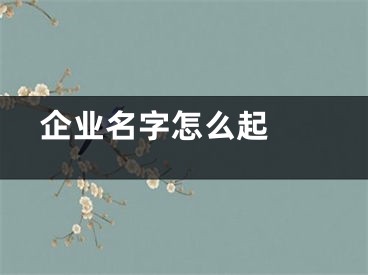  企业名字怎么起 