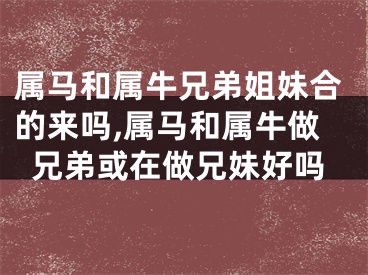 属马和属牛兄弟姐妹合的来吗,属马和属牛做兄弟或在做兄妹好吗